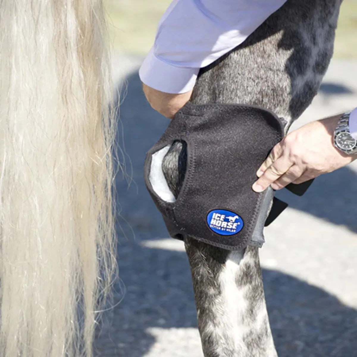 Ice Horse Hock Wrap
