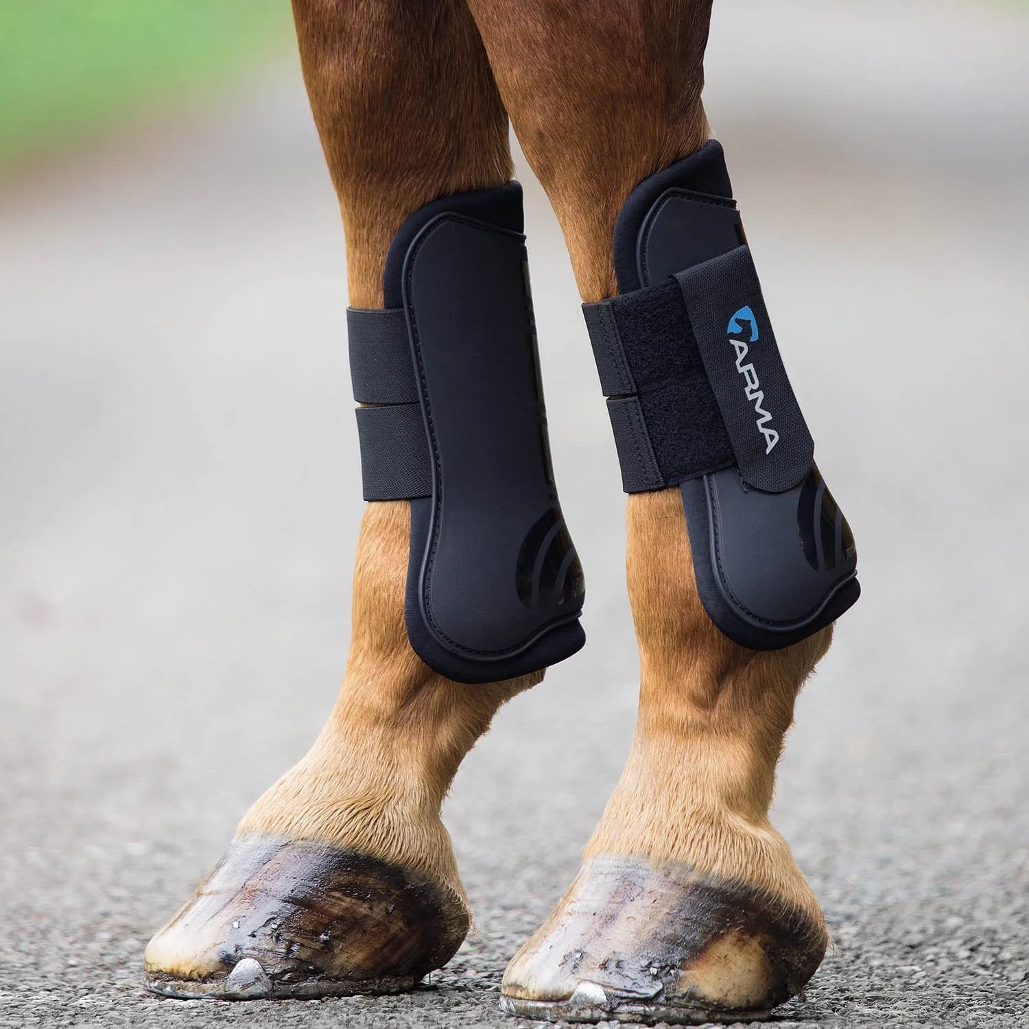 Shires Arma Tendon Boots