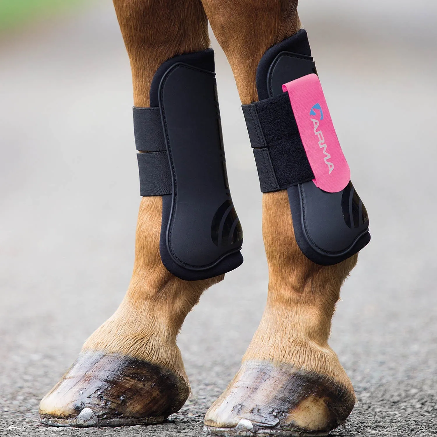 Shires Arma Tendon Boots